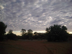 carnegiestnsunrise.jpg